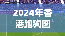 2024年香港跑狗图资料：回顾与展望香港赛狗运动的未来发展