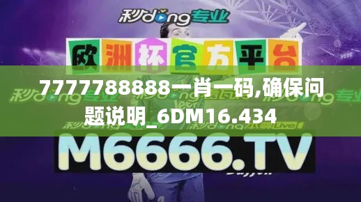 7777788888一肖一码,确保问题说明_6DM16.434