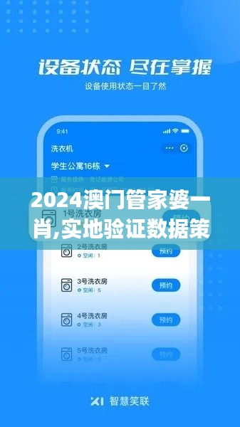 2024澳门管家婆一肖,实地验证数据策略_LE版6.480