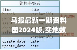 马报最新一期资料图2024版,实地数据解释定义_旗舰版1.922