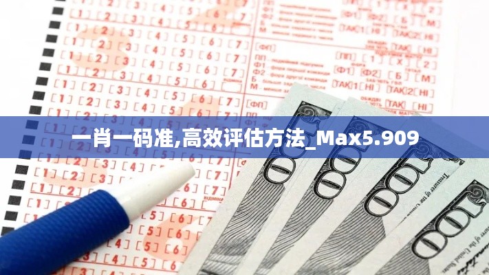 一肖一码准,高效评估方法_Max5.909