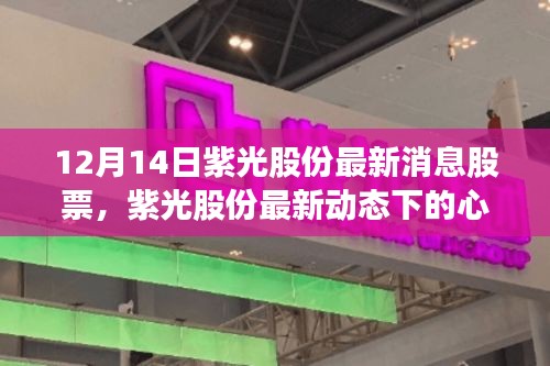 紫光股份最新动态下的心灵之旅，与自然美景的邂逅