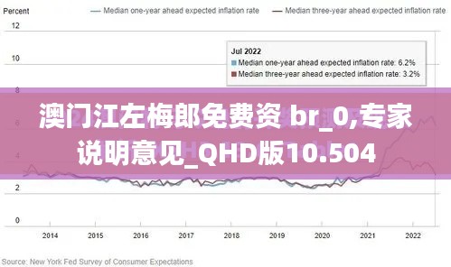 澳门江左梅郎免费资 br_0,专家说明意见_QHD版10.504