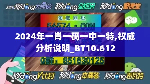 2024年一肖一码一中一特,权威分析说明_BT10.612