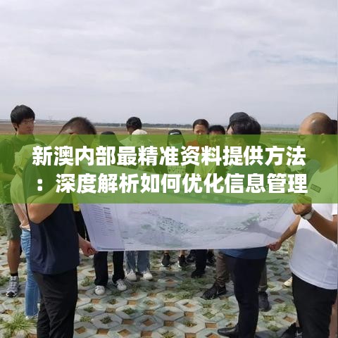 新澳内部最精准资料提供方法：深度解析如何优化信息管理流程以提升效率