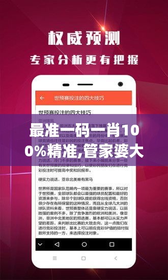 最准一码一肖100%精准,管家婆大小中特,持久性策略解析_超值版16.594