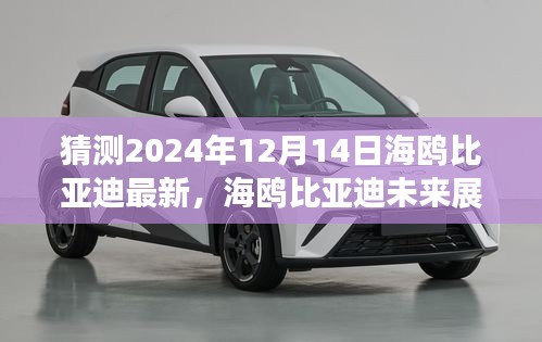 海鸥比亚迪未来展望揭秘，揭秘全新动态与未来趋势展望（预测至2024年12月）