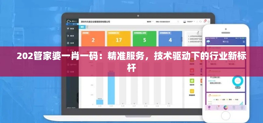 202管家婆一肖一码：精准服务，技术驱动下的行业新标杆