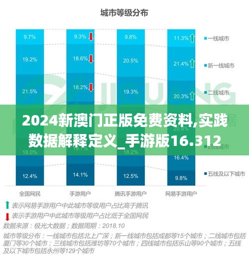 2024新澳门正版免费资料,实践数据解释定义_手游版16.312