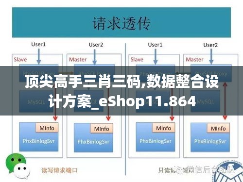 顶尖高手三肖三码,数据整合设计方案_eShop11.864