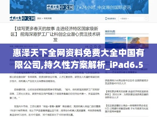 惠泽天下全网资料免费大全中国有限公司,持久性方案解析_iPad6.580