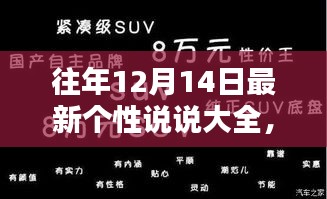 往年12月14日精选个性说说回顾与启示，启示心灵的声音