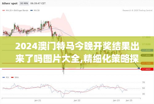 2024澳门特马今晚开奖结果出来了吗图片大全,精细化策略探讨_XP16.397