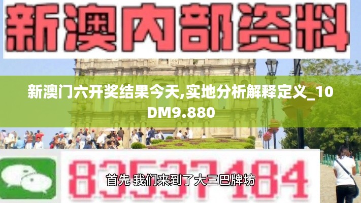 新澳门六开奖结果今天,实地分析解释定义_10DM9.880