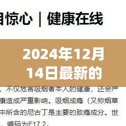 中华烟下的温情日常，友情与陪伴的感动故事