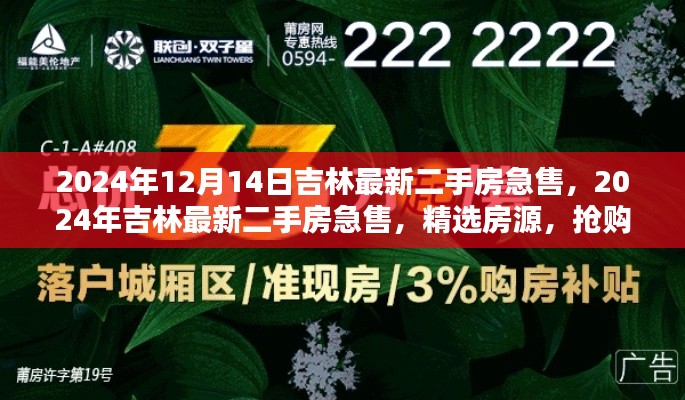 精选急售！吉林最新二手房抢购在即，2024年房源速递