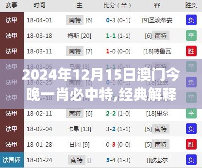 2024年12月15日澳门今晚一肖必中特,经典解释落实_Windows15.253