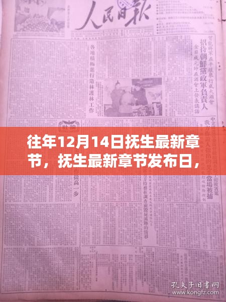 历年12月14日抚生最新章节深度解析，意义与影响探讨