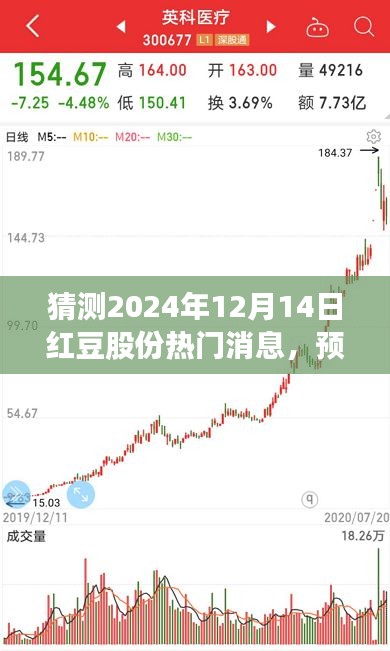 红豆股份时尚变革与未来动向预测，热点新闻揭秘2024年12月14日的发展动向