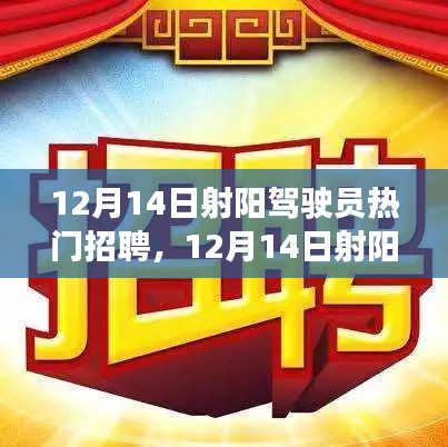 12月14日射阳驾驶员热门招聘，把握未来职业黄金机遇