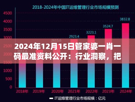 2024年12月15日管家婆一肖一码最准资料公开：行业洞察，把握未来趋势