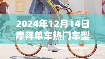 摩拜单车热门车型之旅，旧友新骑，爱的陪伴永不止步（2024年12月14日）