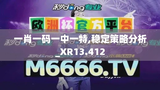 一肖一码一中一特,稳定策略分析_XR13.412