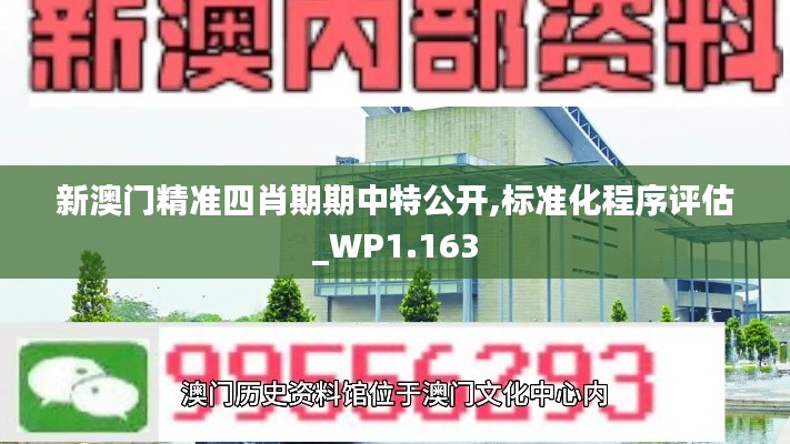 新澳门精准四肖期期中特公开,标准化程序评估_WP1.163