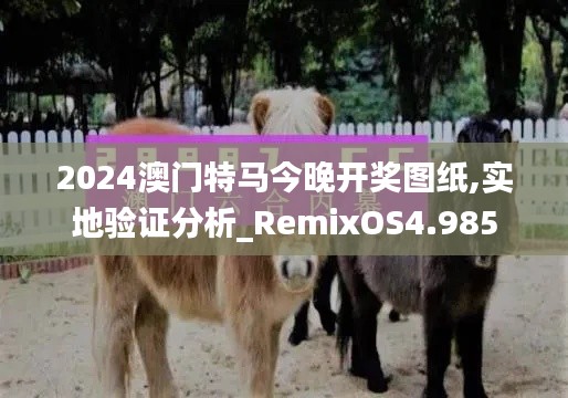 2024澳门特马今晚开奖图纸,实地验证分析_RemixOS4.985