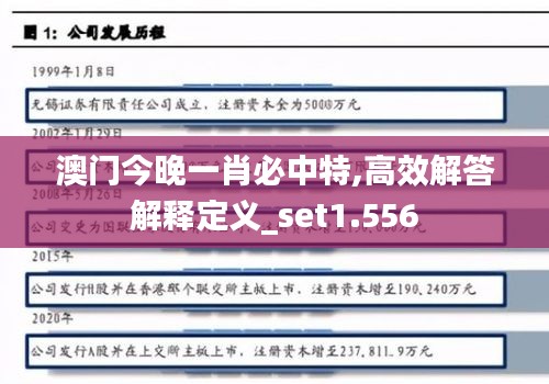 澳门今晚一肖必中特,高效解答解释定义_set1.556