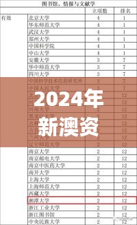 2024年新澳资料免费公开,迅速执行计划设计_铂金版9.343