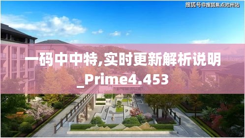 一码中中特,实时更新解析说明_Prime4.453