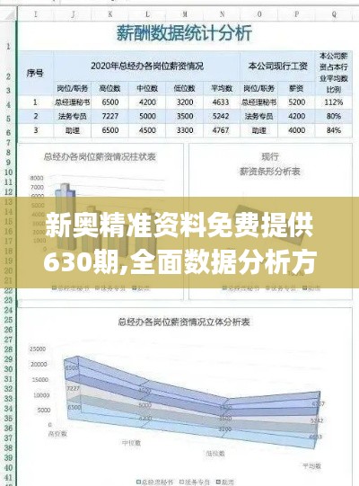 新奥精准资料免费提供630期,全面数据分析方案_XE版9.665