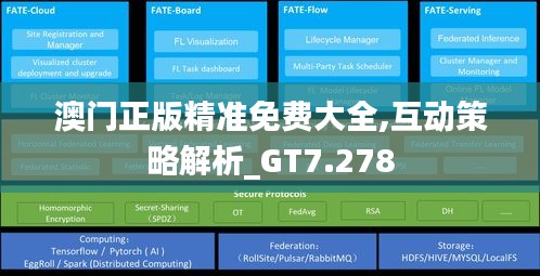 澳门正版精准免费大全,互动策略解析_GT7.278