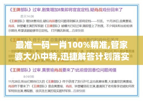 最准一码一肖100%精准,管家婆大小中特,迅捷解答计划落实_经典款1.405