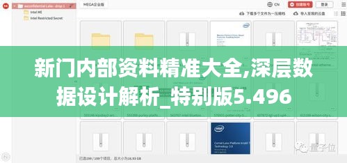新门内部资料精准大全,深层数据设计解析_特别版5.496
