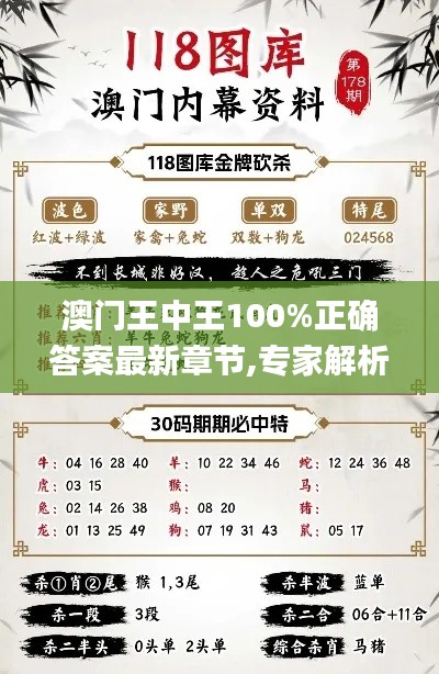 澳门王中王100%正确答案最新章节,专家解析意见_理财版4.494