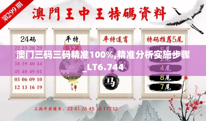 澳门三码三码精准100%,精准分析实施步骤_LT6.744