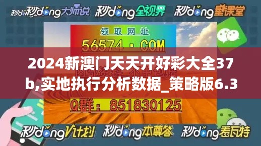 2024新澳门天天开好彩大全37b,实地执行分析数据_策略版6.370