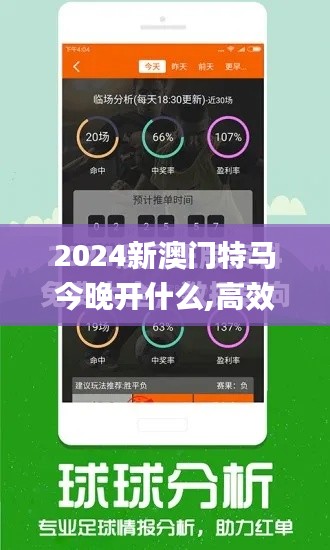 2024新澳门特马今晚开什么,高效性实施计划解析_ios6.772