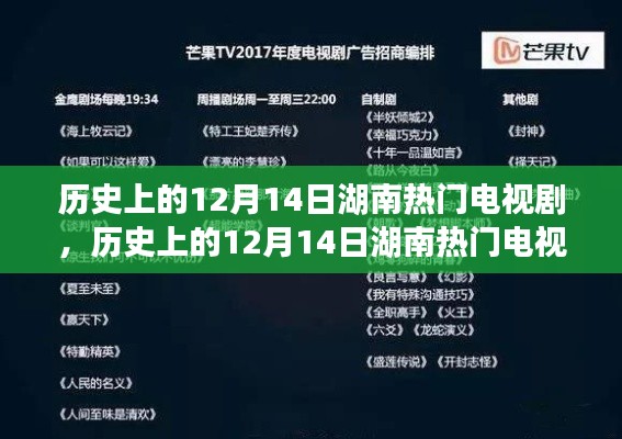 历史上的12月14日湖南热门电视剧探索指南，初学者与进阶用户必看教程