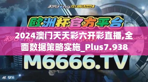 2024澳门天天彩六开彩直播,全面数据策略实施_Plus7.938