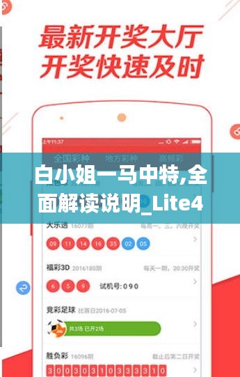 白小姐一马中特,全面解读说明_Lite4.289