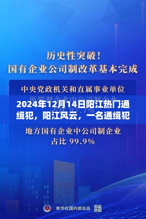 阳江风云揭秘，追捕行动与通缉犯的成长与影响