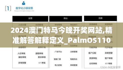 2024澳门特马今晚开奖网站,精准解答解释定义_PalmOS110.346