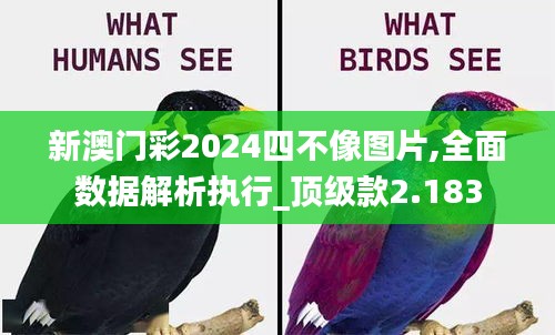 新澳门彩2024四不像图片,全面数据解析执行_顶级款2.183