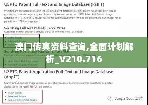 澳门传真资料查询,全面计划解析_V210.716