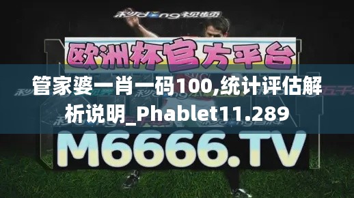 管家婆一肖一码100,统计评估解析说明_Phablet11.289