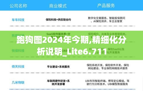 跑狗图2024年今期,精细化分析说明_Lite6.711