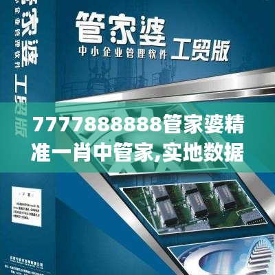 7777888888管家婆精准一肖中管家,实地数据解释定义_XR110.100